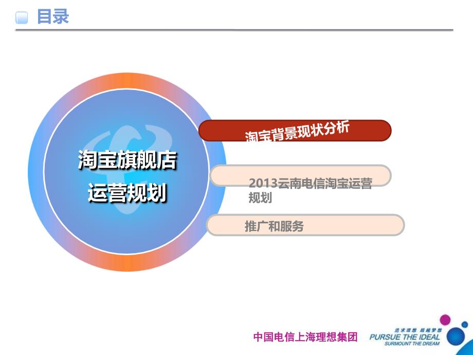 云南电信淘宝旗舰店建设方案V.ppt_第2页