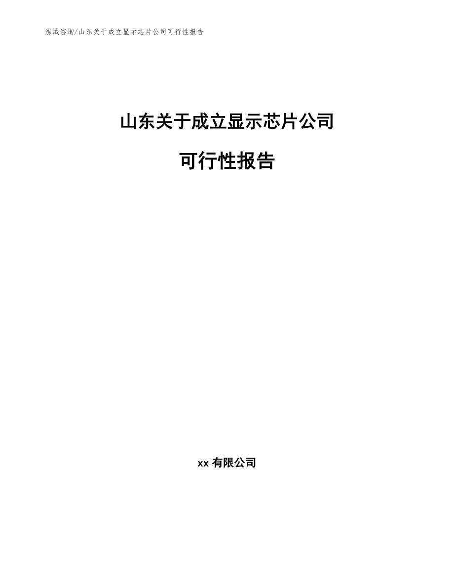 山东关于成立显示芯片公司可行性报告范文_第1页