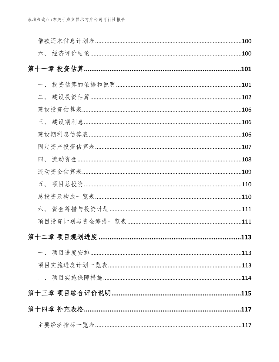 山东关于成立显示芯片公司可行性报告范文_第5页