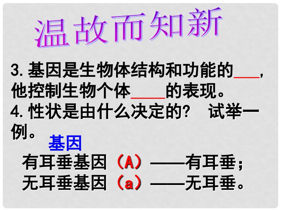 广东省惠州市八年级生物上册 20.3性状遗传有一定的规律性课件 （新版）北师大版_第3页