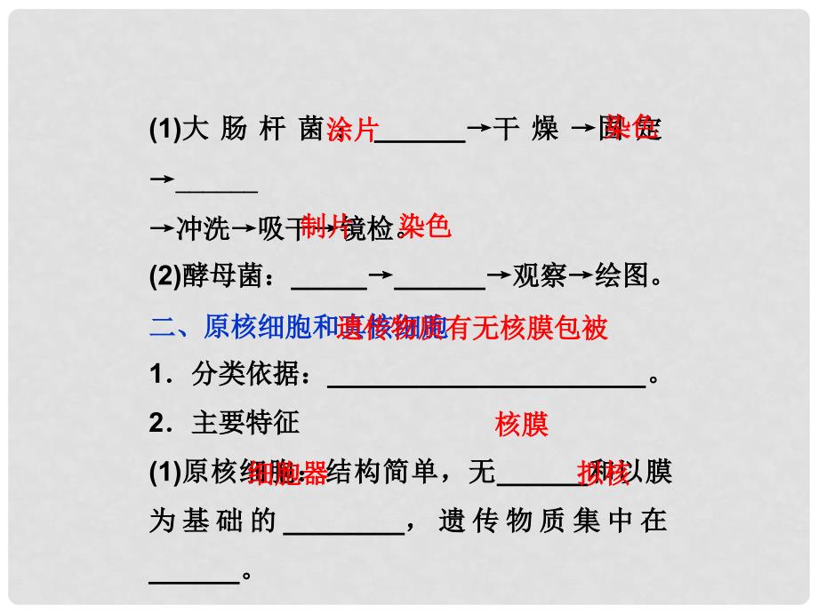 高中生物 第一单元 第二章 第三节真核细胞与原核细胞课件 中图版必修1_第4页