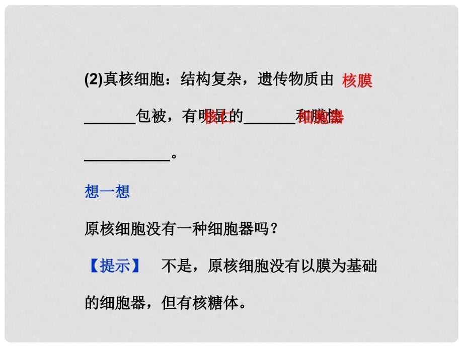 高中生物 第一单元 第二章 第三节真核细胞与原核细胞课件 中图版必修1_第5页