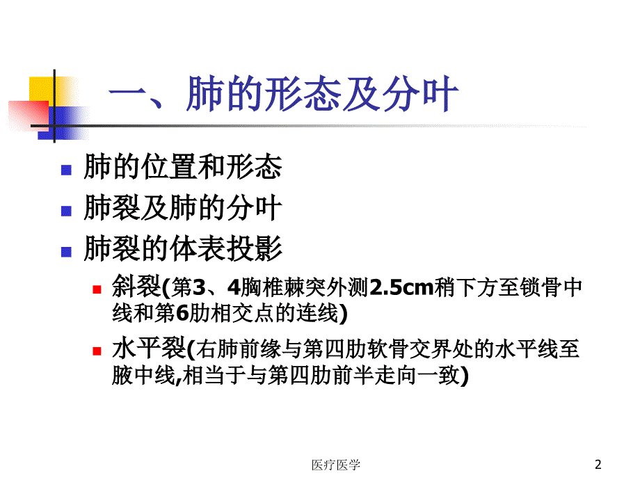 肺的断层影像解剖业内特制_第2页