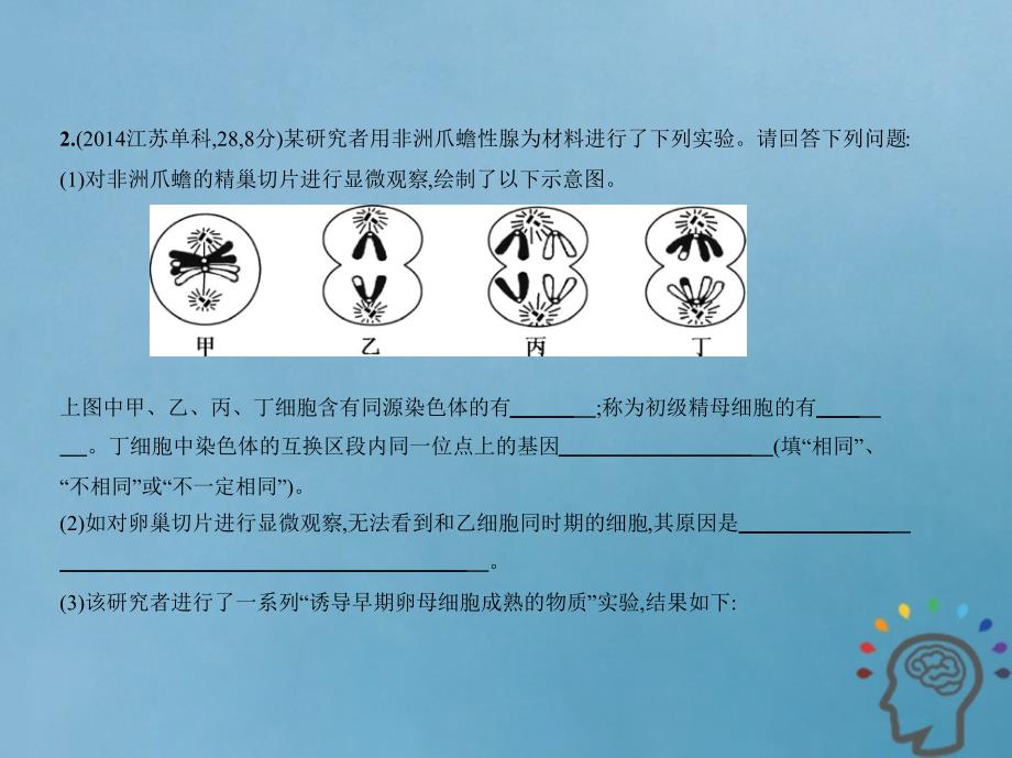 江苏专版高考生物一轮复习专题9遗传的细胞基次件07243250_第4页