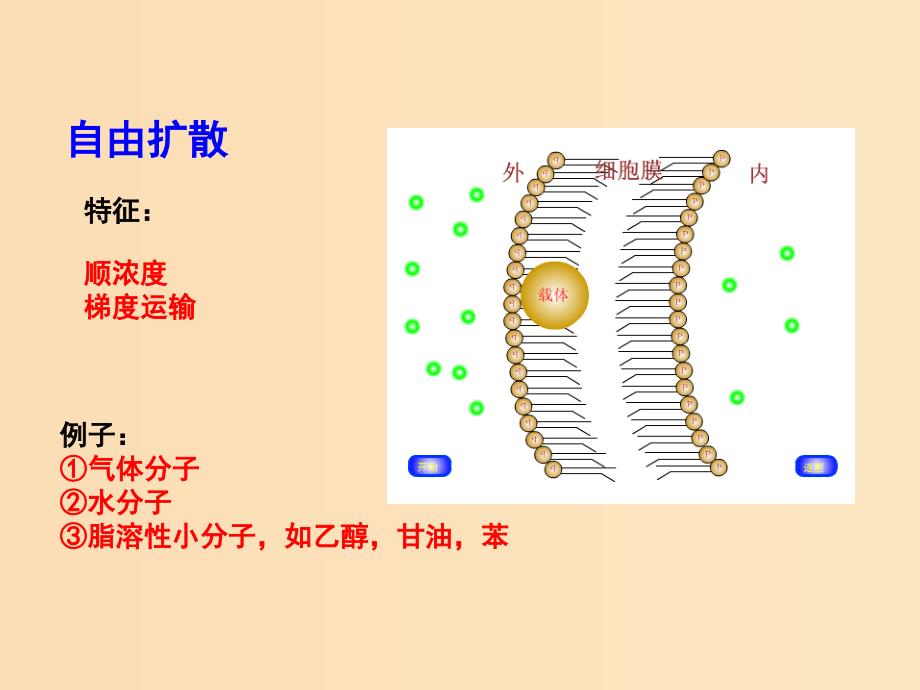 2018-2019学年高中生物 第04章 细胞的物质输入和输出 专题4.3 物质跨膜运输的方式课件（提升版）新人教版必修1.ppt_第3页