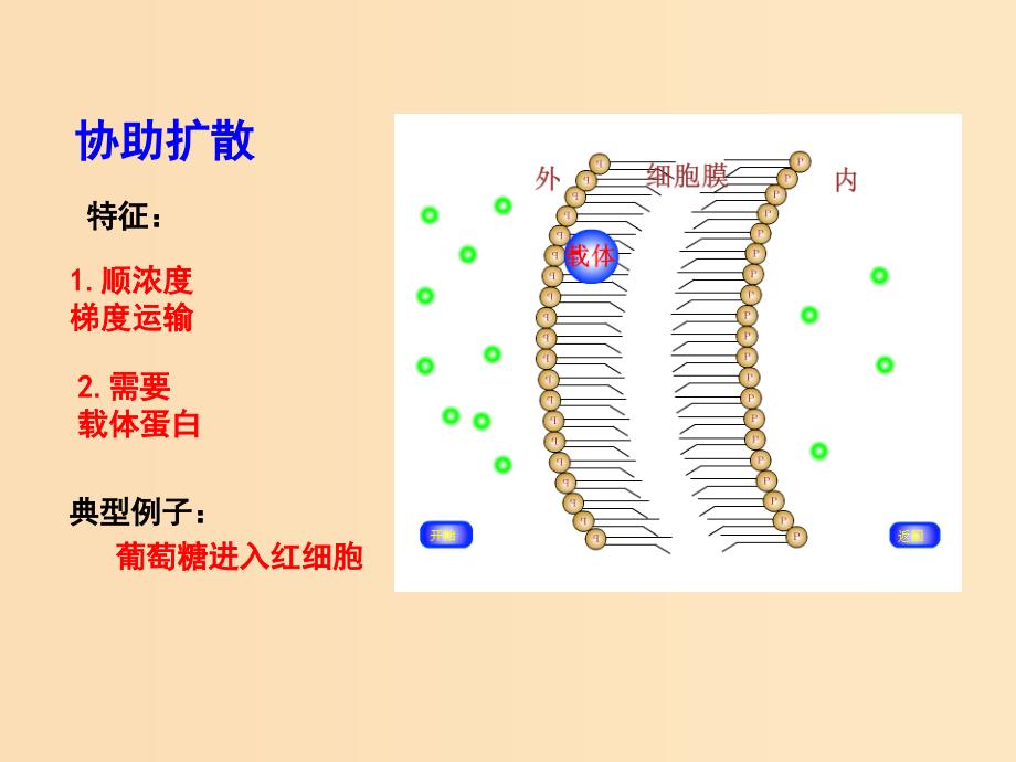 2018-2019学年高中生物 第04章 细胞的物质输入和输出 专题4.3 物质跨膜运输的方式课件（提升版）新人教版必修1.ppt_第4页