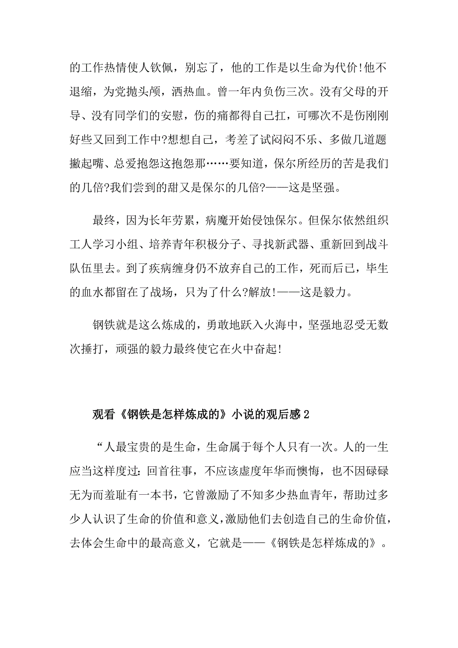 观看《钢铁是怎样炼成的》小说的观后感_第2页