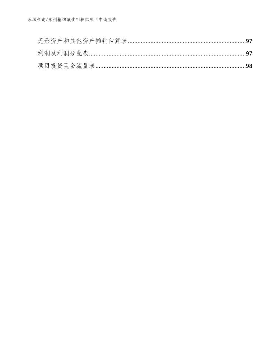 永州精细氧化铝粉体项目申请报告_第5页