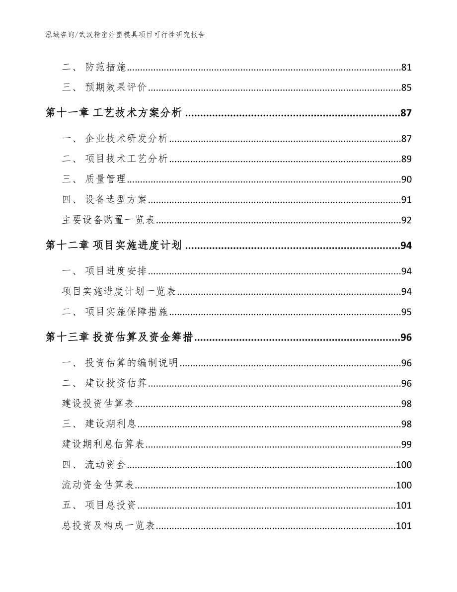 武汉精密注塑模具项目可行性研究报告（参考范文）_第5页
