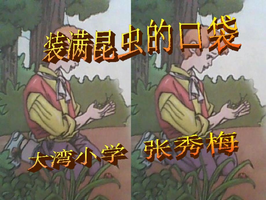 北师大版三年级下册装满昆虫的口袋第一课时_第1页