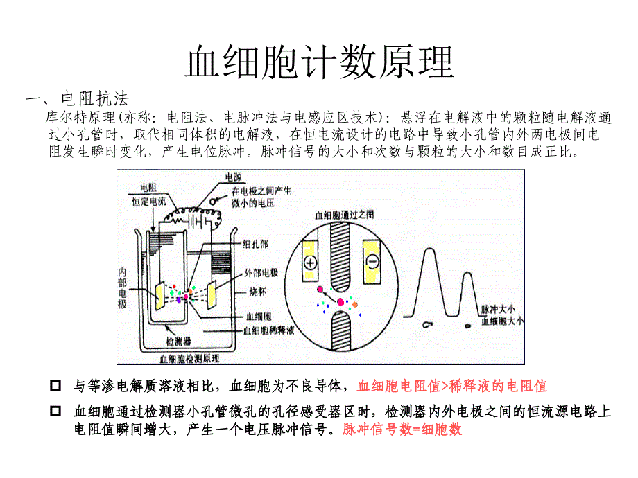 血细胞直方图_第2页