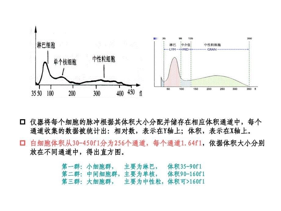 血细胞直方图_第5页