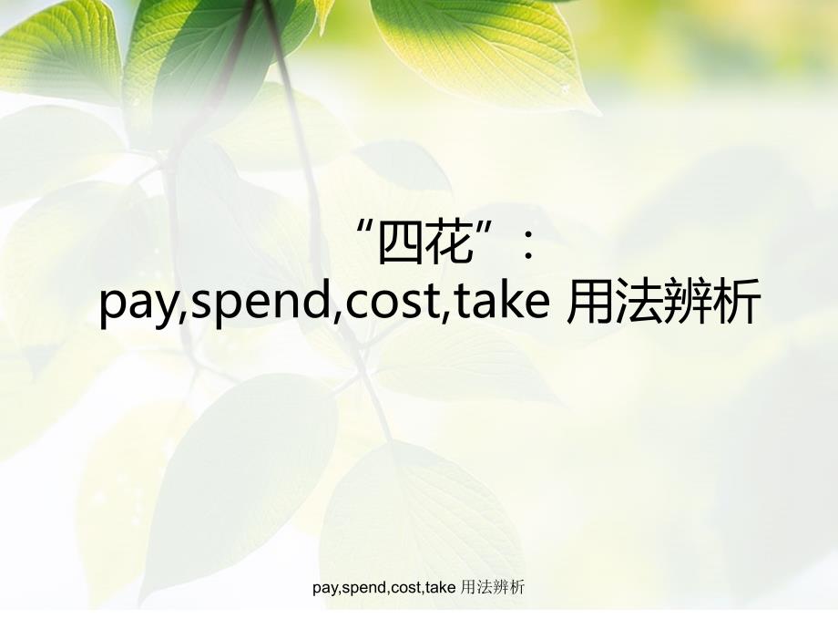 payspendcosttake用法辨析经典实用_第1页