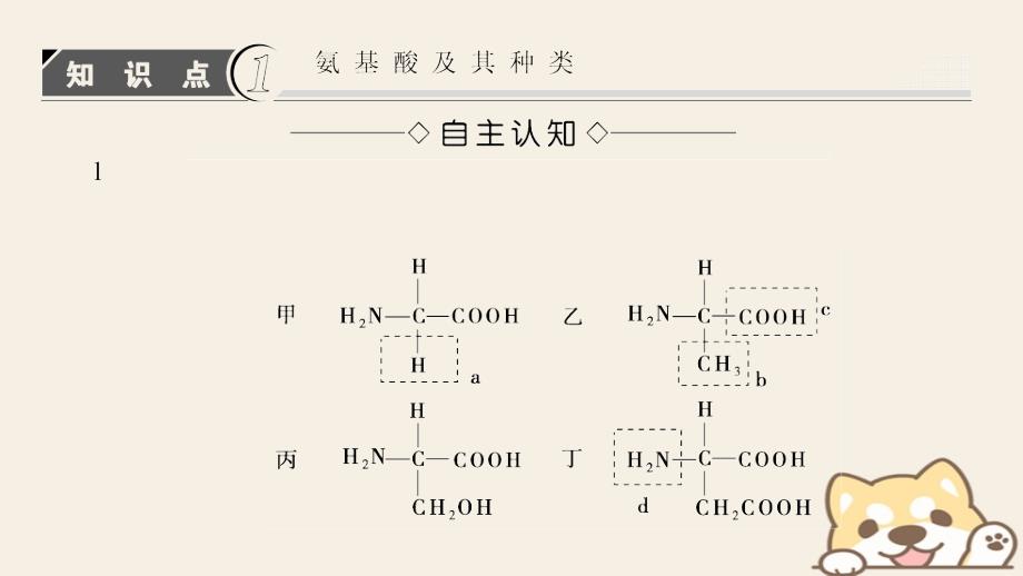 生物 第二章 组成细胞的分子 第2节 生命活动的主要承担者——蛋白质 新人教版必修1_第3页