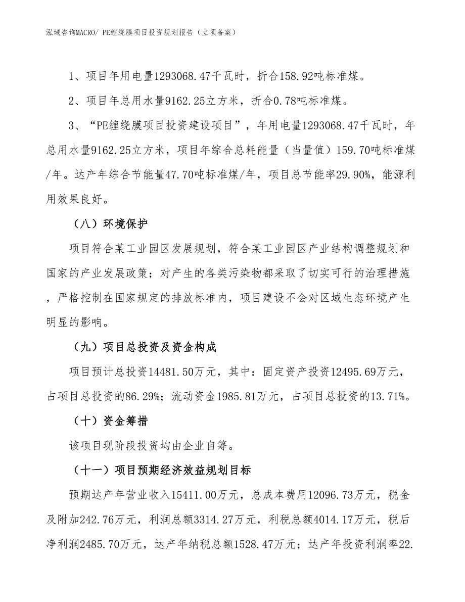 PE缠绕膜项目投资规划报告（立项备案）.docx_第5页