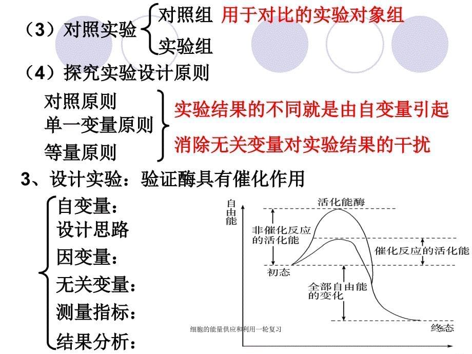 细胞的能量供应和利用一轮复习课件_第5页