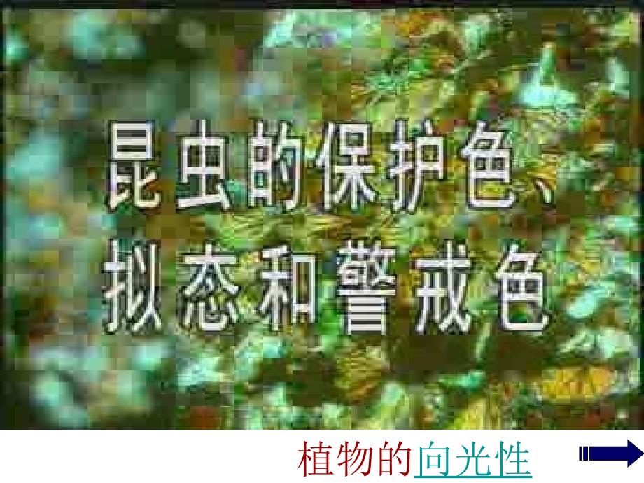 七年级科学生物的适应性和多样性13_第4页