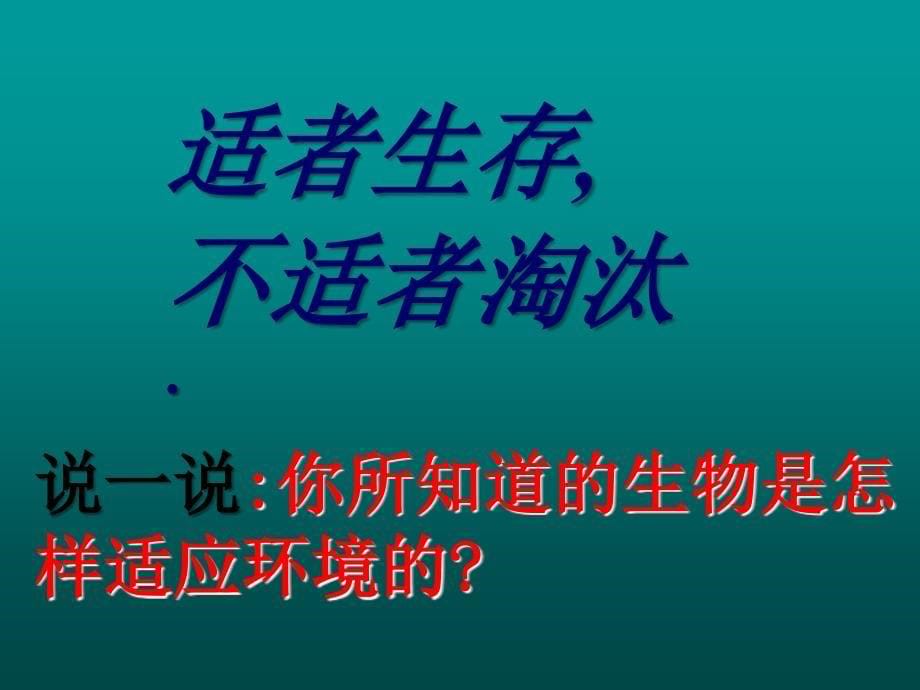 七年级科学生物的适应性和多样性13_第5页