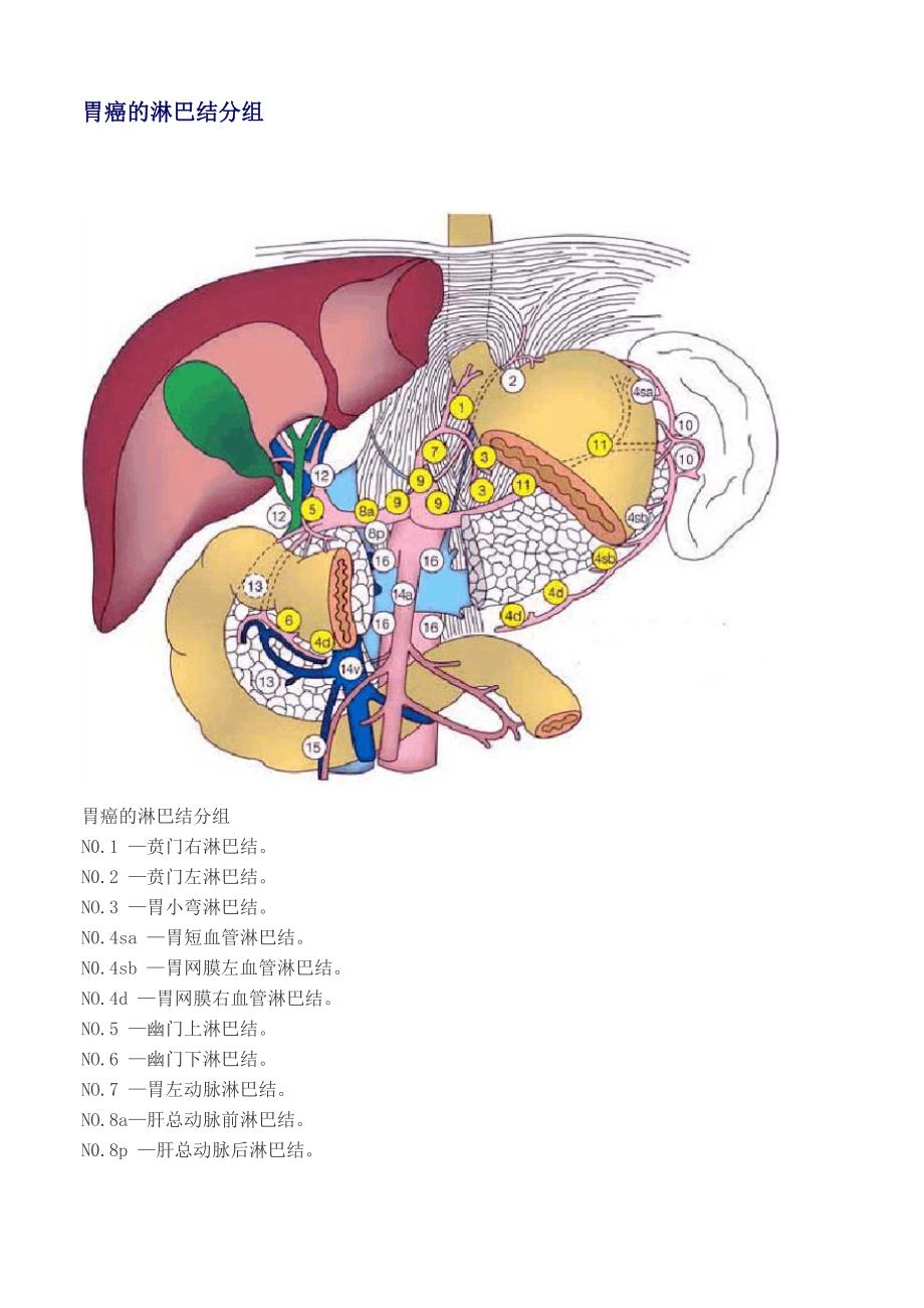 胃癌的淋巴结分组_第1页