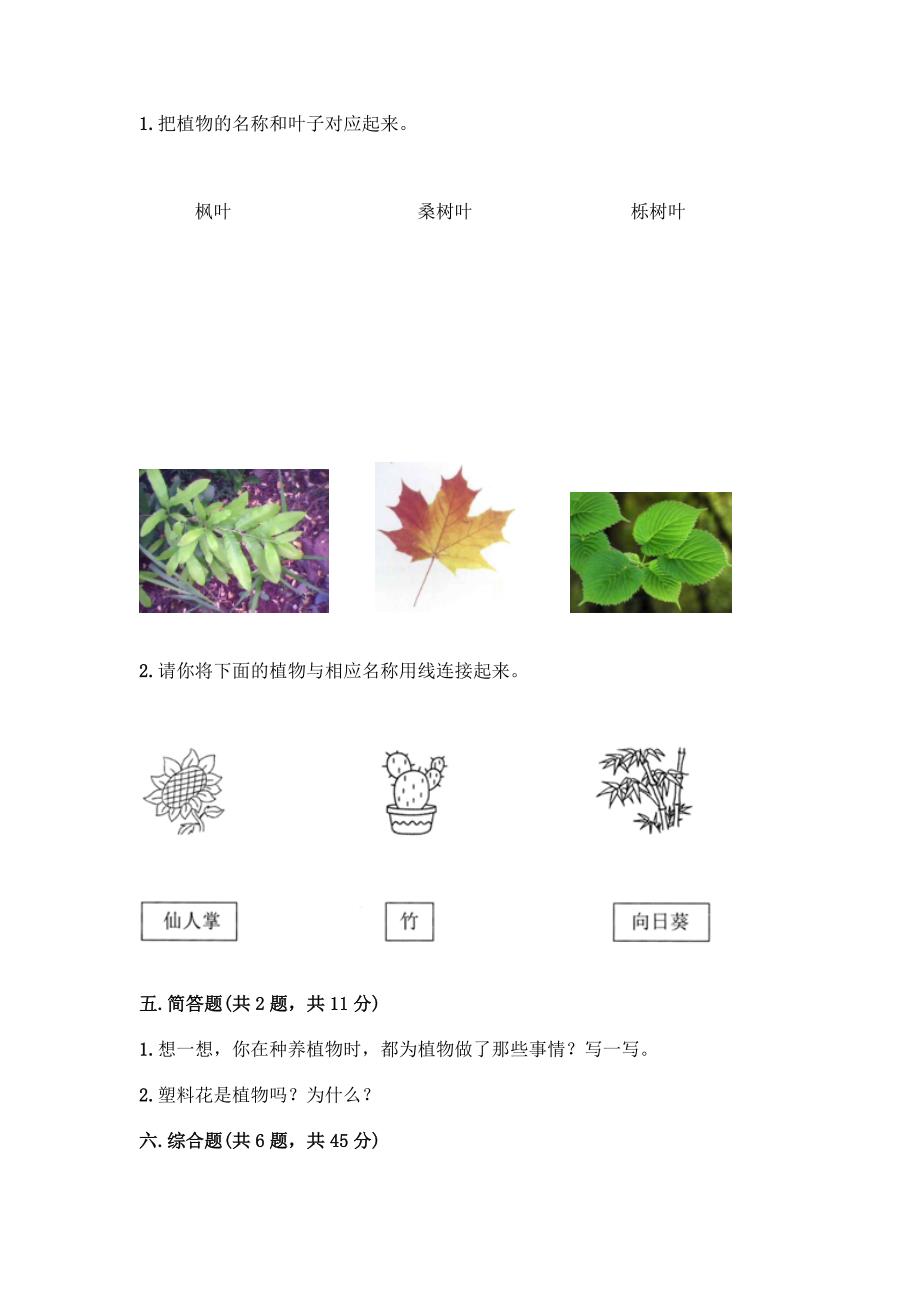 教科版科学一年级上册第一单元《植物》知识点测试卷及完整答案(有一套).docx_第4页