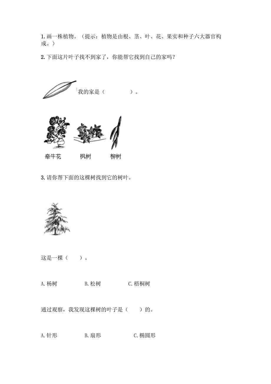 教科版科学一年级上册第一单元《植物》知识点测试卷及完整答案(有一套).docx_第5页