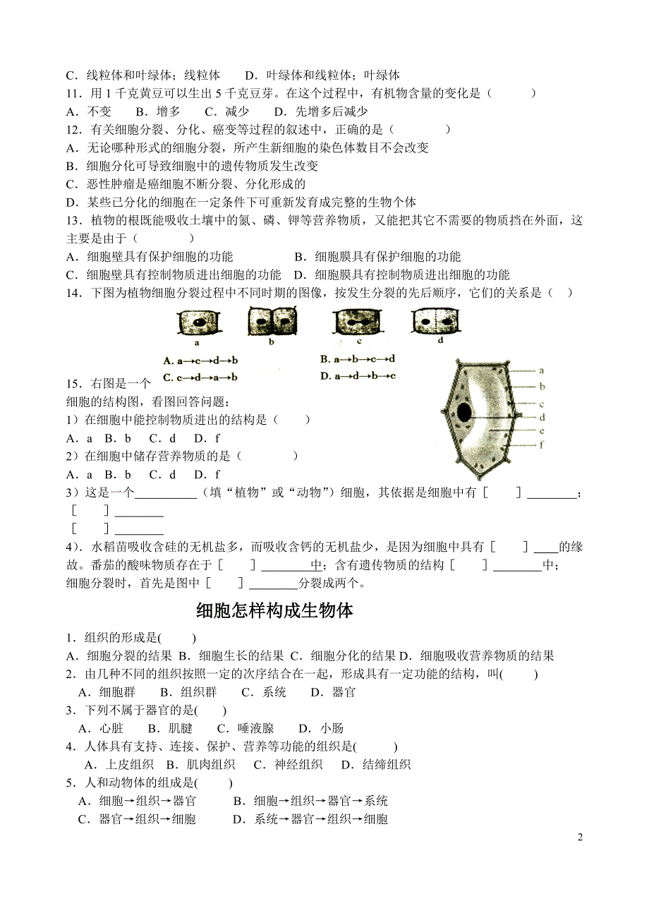 生物七年级上册复习题.doc_第2页