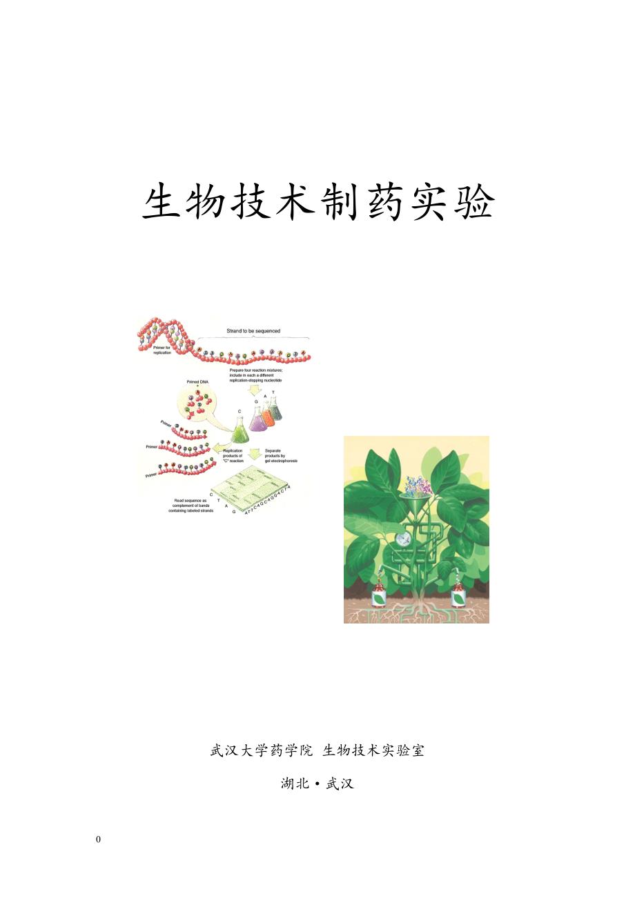 生物技术制药试验-武汉大学药学院.doc_第1页