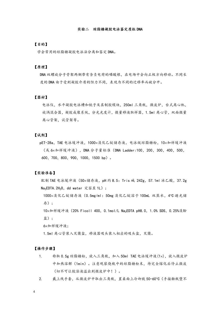 生物技术制药试验-武汉大学药学院.doc_第5页