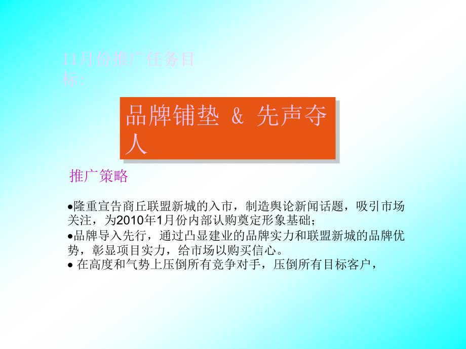 河南商丘联盟新城传播推广执行案_第2页