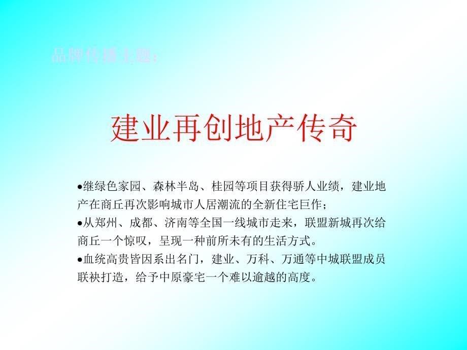 河南商丘联盟新城传播推广执行案_第5页