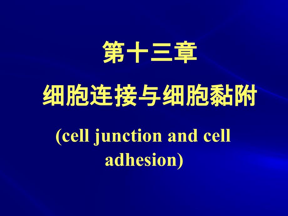 第十三章细胞连接与细胞黏徐晋_第1页