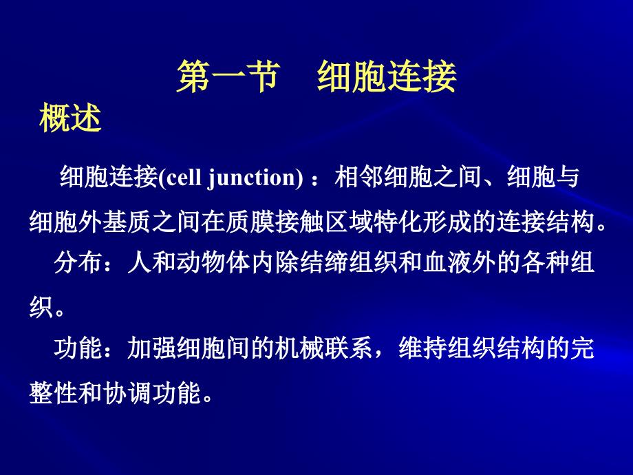 第十三章细胞连接与细胞黏徐晋_第3页