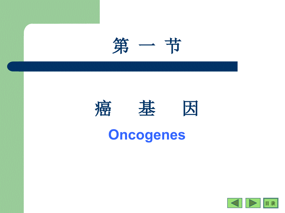 生物化学与分子生物学：第20章 癌基因、抑癌基因与生长因子_第4页