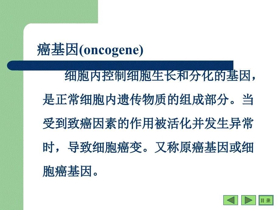 生物化学与分子生物学：第20章 癌基因、抑癌基因与生长因子_第5页