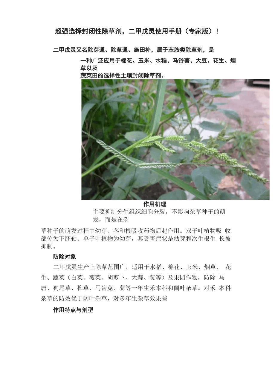 超强选择封闭性除草剂二甲戊灵使用手册（专家版）！_第1页