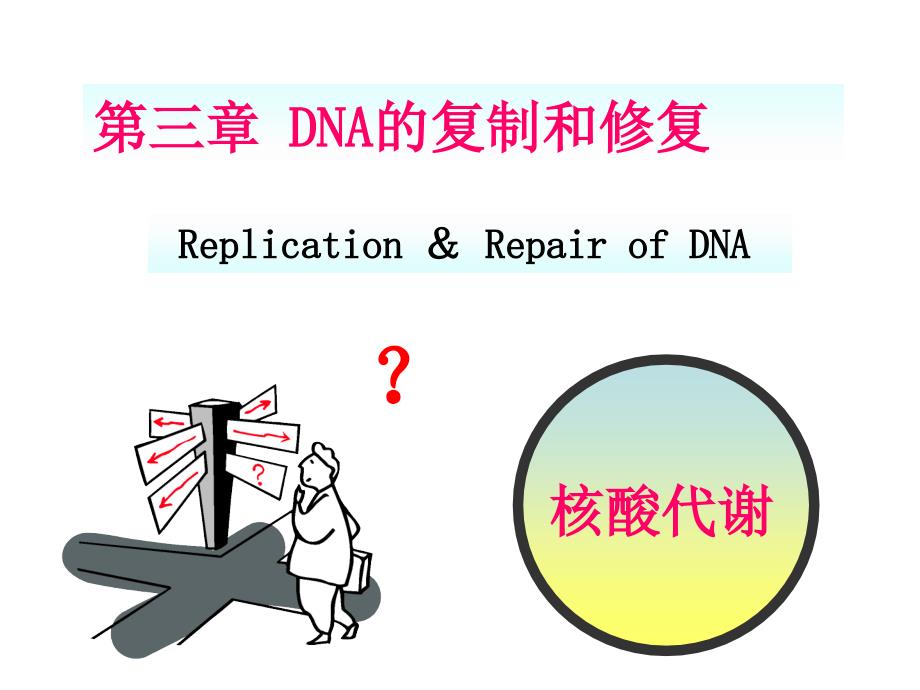 分子生物学：第三章_DNA的复制和修复_第1页