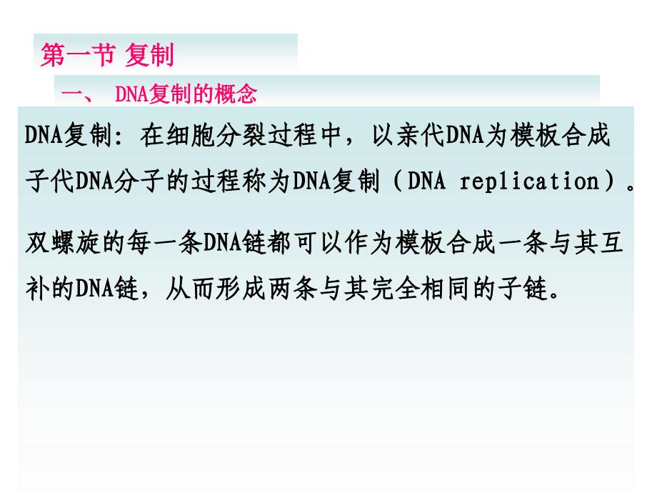 分子生物学：第三章_DNA的复制和修复_第2页