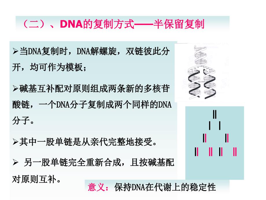 分子生物学：第三章_DNA的复制和修复_第3页