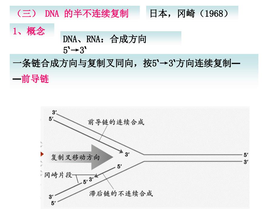 分子生物学：第三章_DNA的复制和修复_第4页