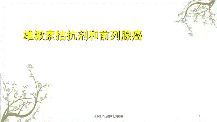 雄激素拮抗剂和前列腺癌课件_第1页