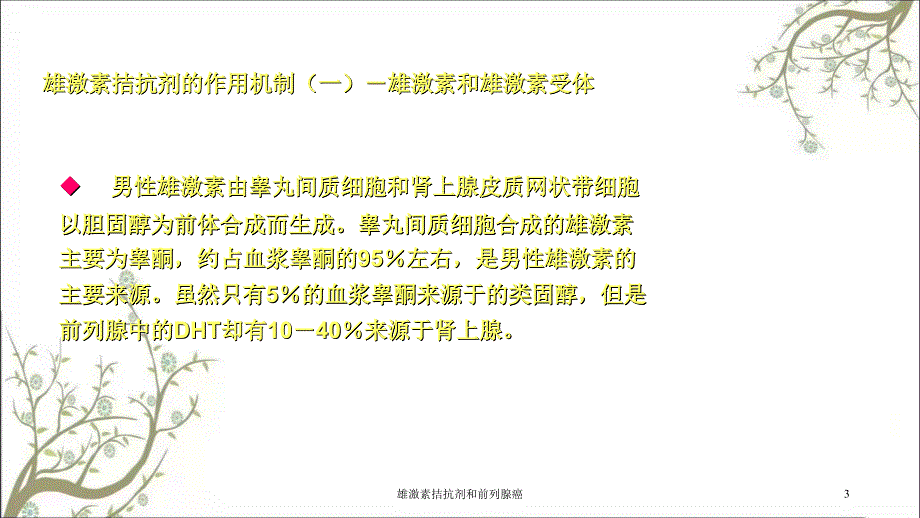 雄激素拮抗剂和前列腺癌课件_第3页