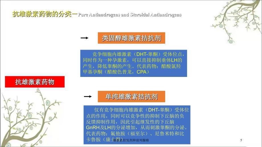 雄激素拮抗剂和前列腺癌课件_第5页