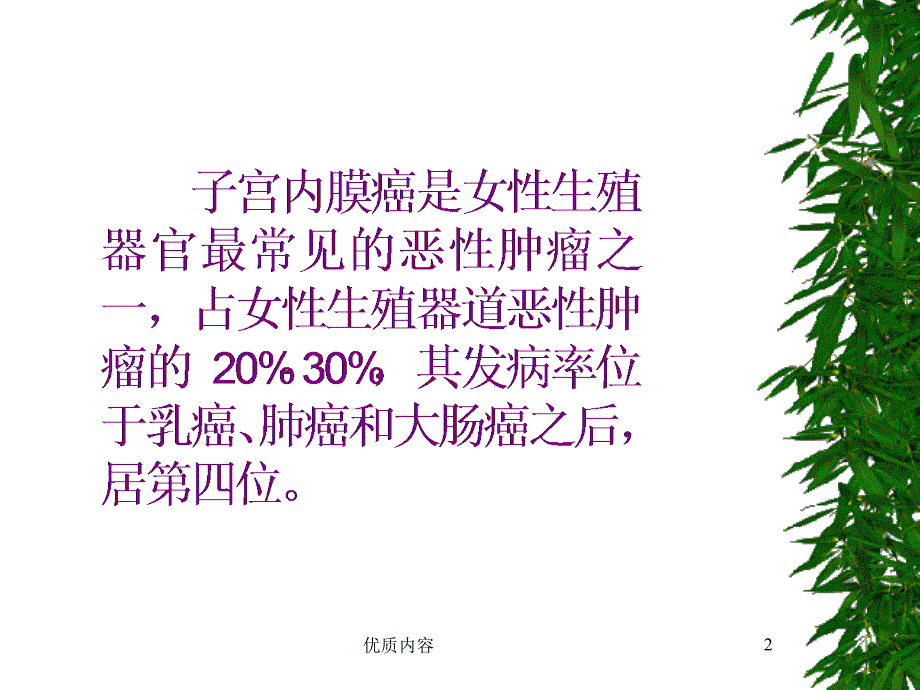 子宫内膜癌的化疗参考材料_第2页