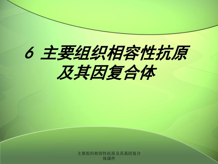 主要组织相容性抗原及其基因复合体课件_第1页