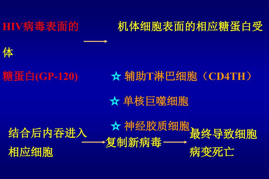 艾滋病的诊断治疗近况_第4页