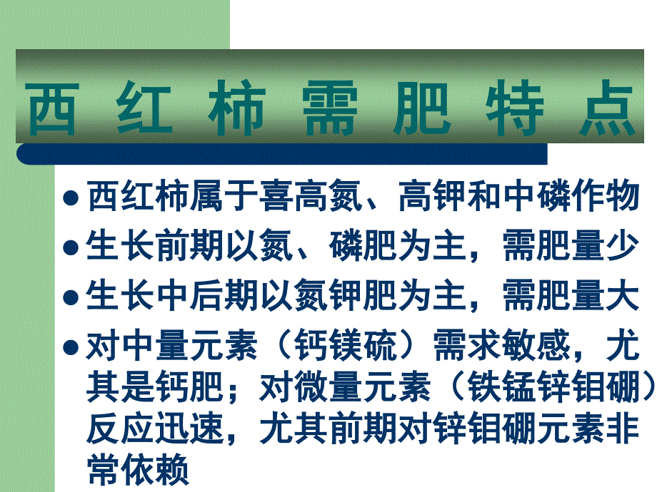 西红柿主要病虫害及其防治.ppt_第3页