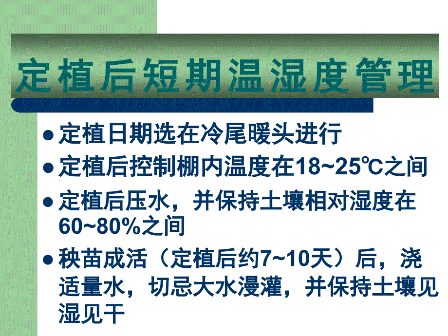 西红柿主要病虫害及其防治.ppt_第4页