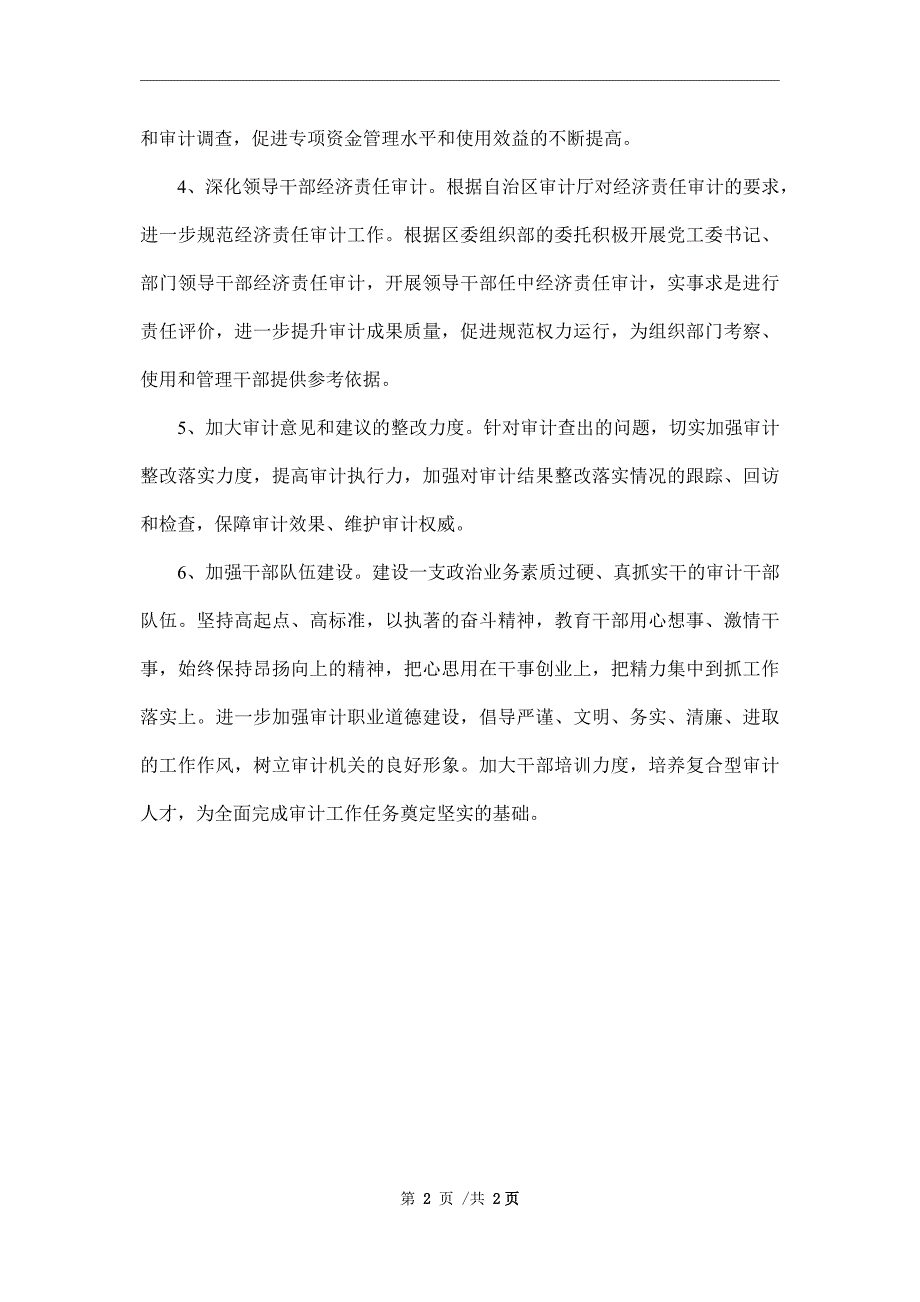 2022年审计工作打算工作重点_第2页