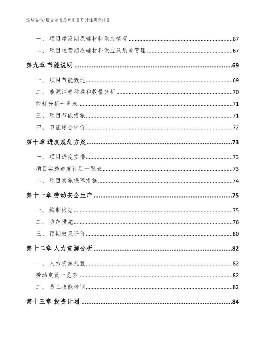 烟台电表芯片项目可行性研究报告_范文_第5页