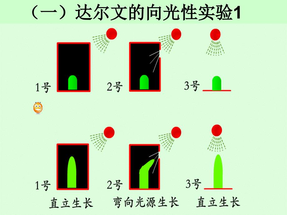 第30课时植物的激素调节_第4页